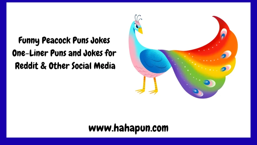 Funny Peacock Puns Jokes One-Liner Puns and Jokes for Reddit & Other Social Media