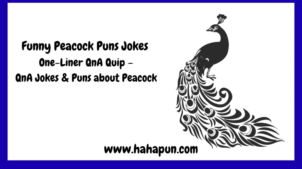 Funny Peacock Puns Jokes One-Liner QnA Quip – QnA Jokes & Puns about Peacock