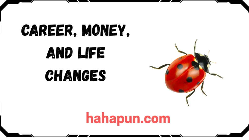 Career, Money, and Life Changes