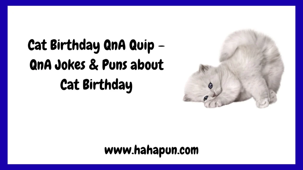 Cat Birthday QnA Quip – QnA Jokes & Puns about Cat Birthday