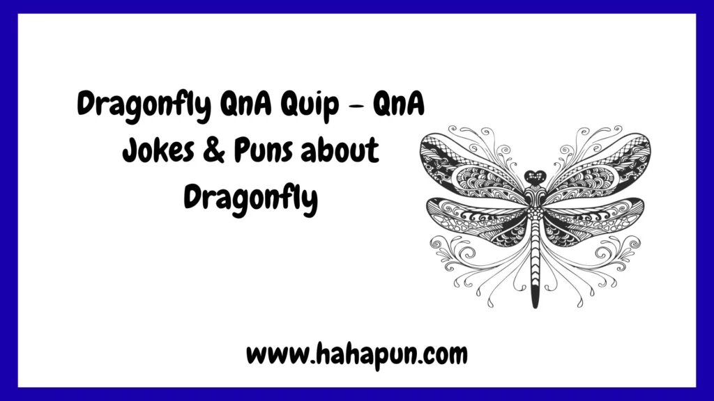 Dragonfly QnA Quip – QnA Jokes & Puns about Dragonfly