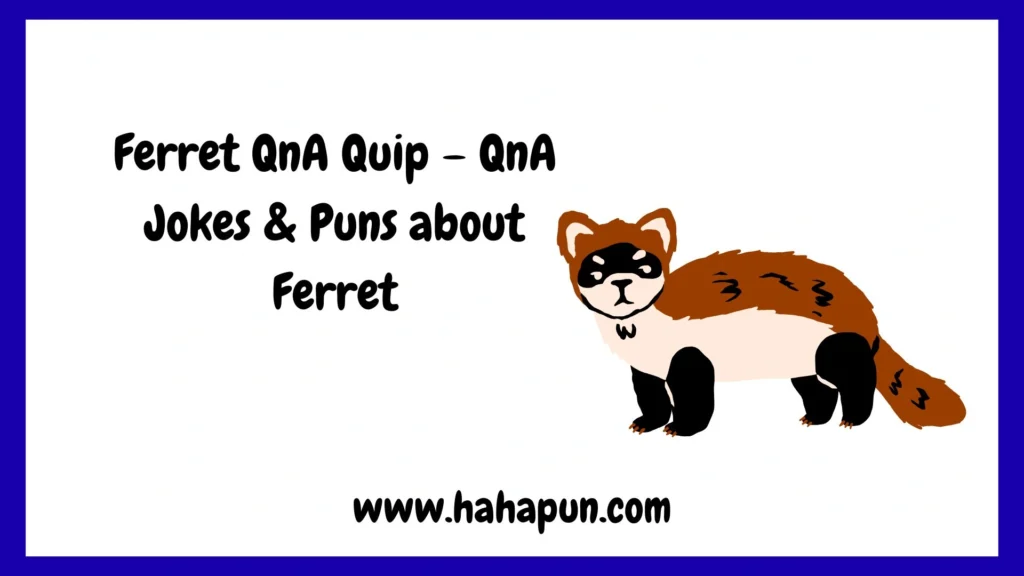 Ferret QnA Quip – QnA Jokes & Puns about Ferret