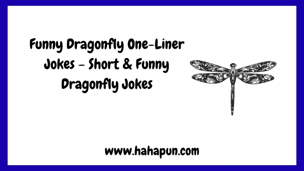 Funny Dragonfly One-Liner Jokes – Short & Funny Dragonfly Jokes