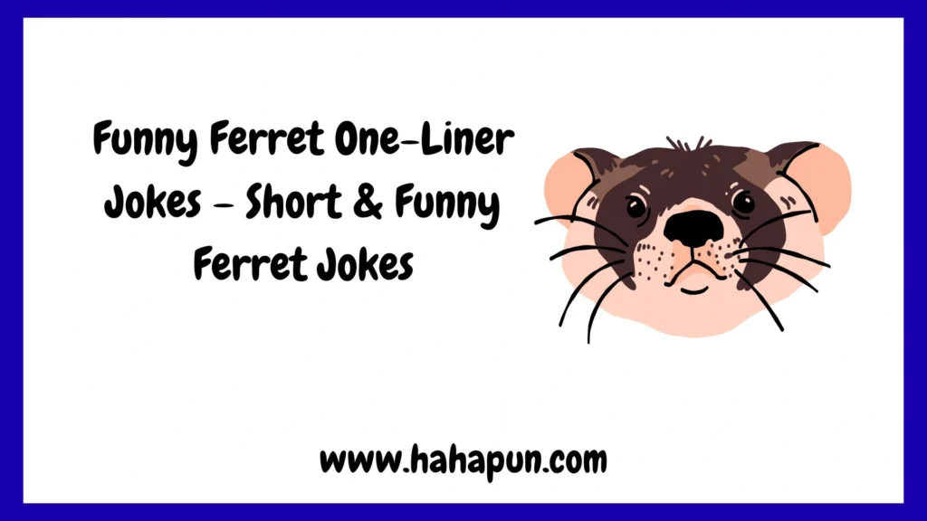 Funny Ferret One-Liner Jokes – Short & Funny Ferret Jokes