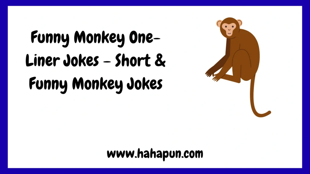 Funny Monkey One-Liner Jokes – Short & Funny Monkey Jokes