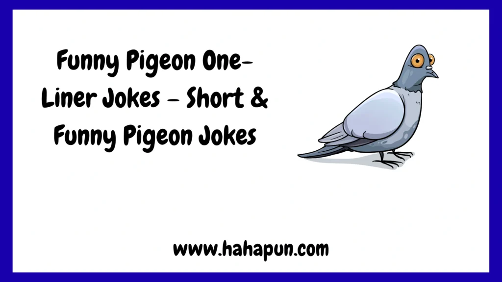 Funny Pigeon One-Liner Jokes – Short & Funny Pigeon Jokes