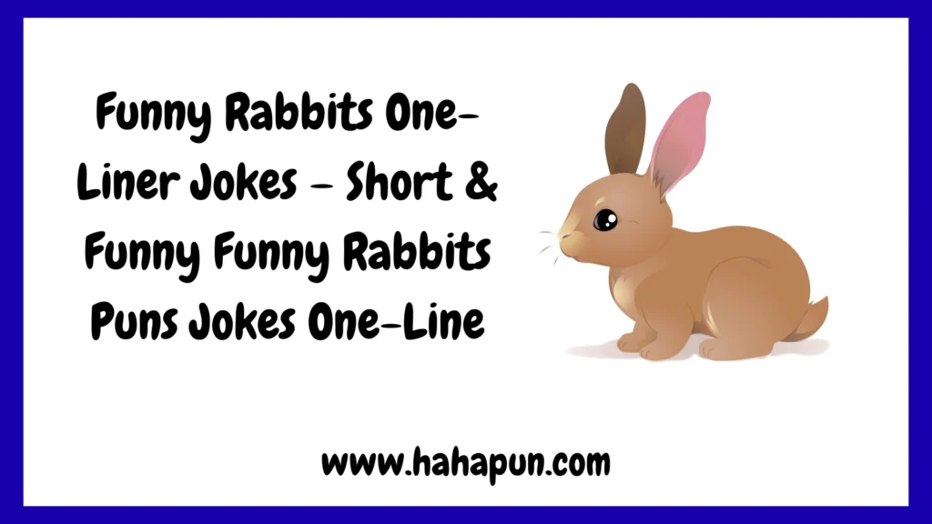 Funny Rabbits One-Liner Jokes – Short & Funny Funny Rabbits Puns Jokes One-Line