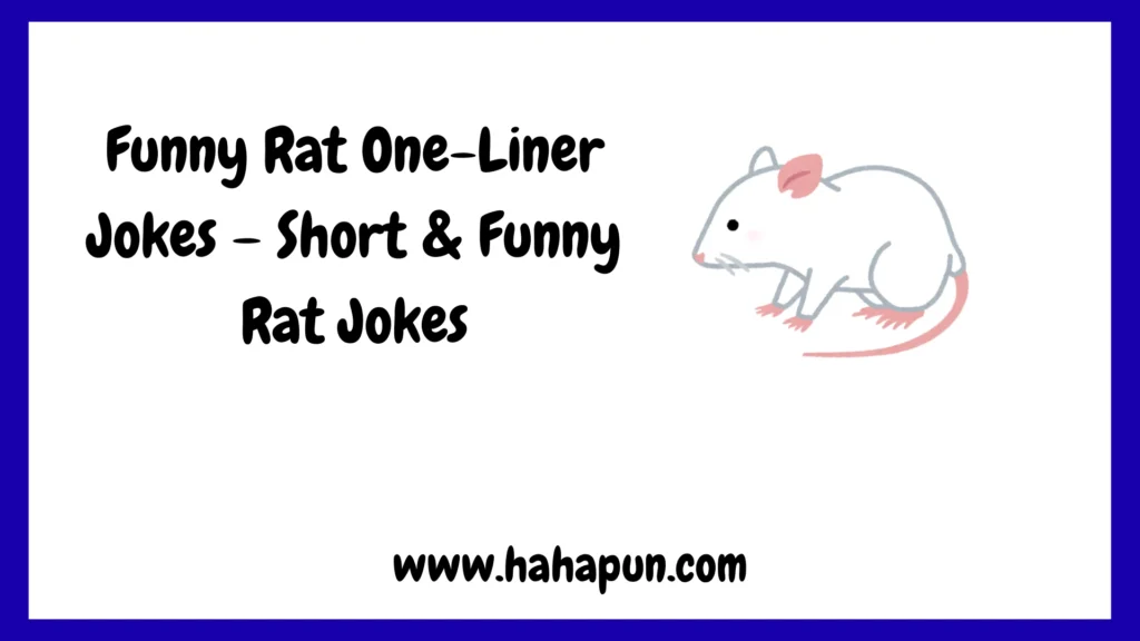 Funny Rat One-Liner Jokes – Short & Funny Rat Jokes
