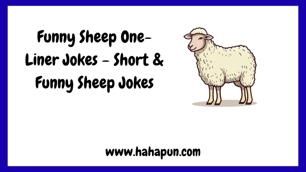 Funny Sheep One-Liner Jokes – Short & Funny Sheep Jokes