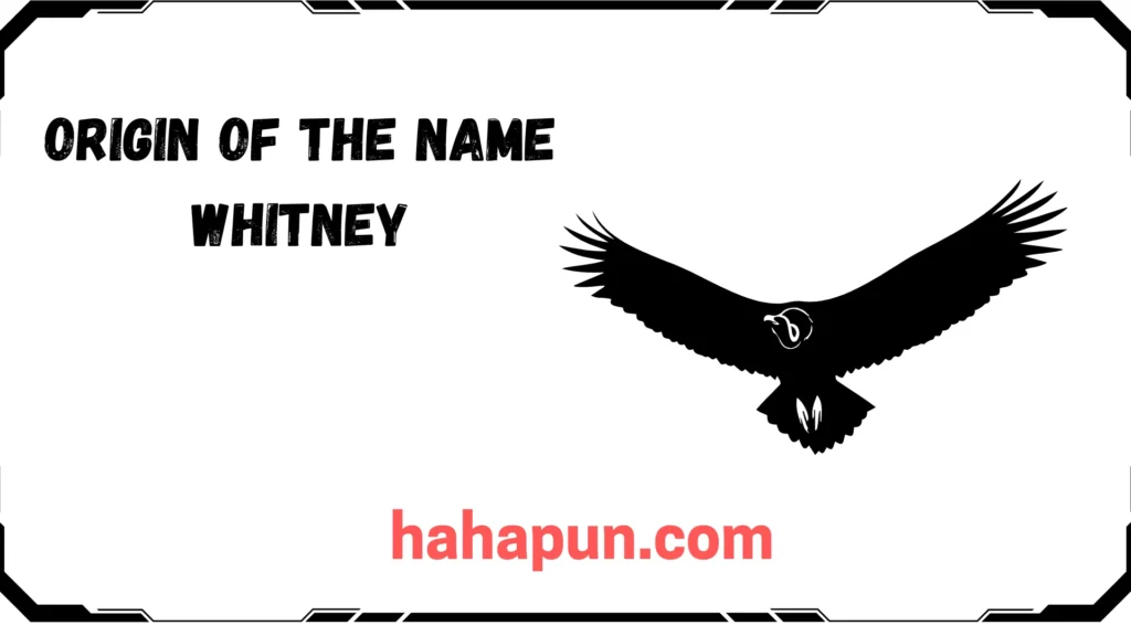 Origin of the Name Whitney