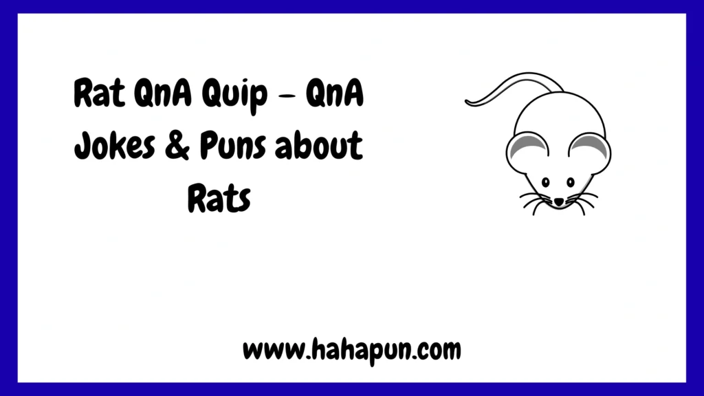Rat QnA Quip – QnA Jokes & Puns about Rats