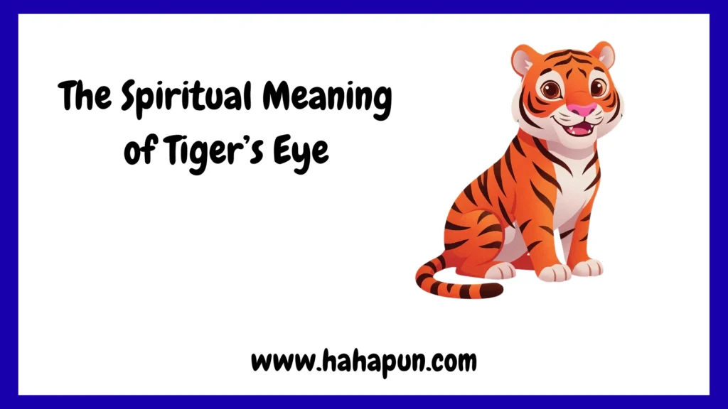 The Spiritual Meaning of Tiger’s Eye
