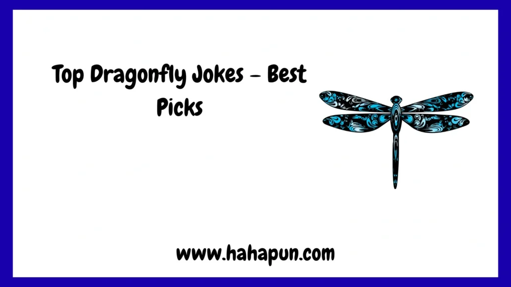 Top Dragonfly Jokes – Best Picks