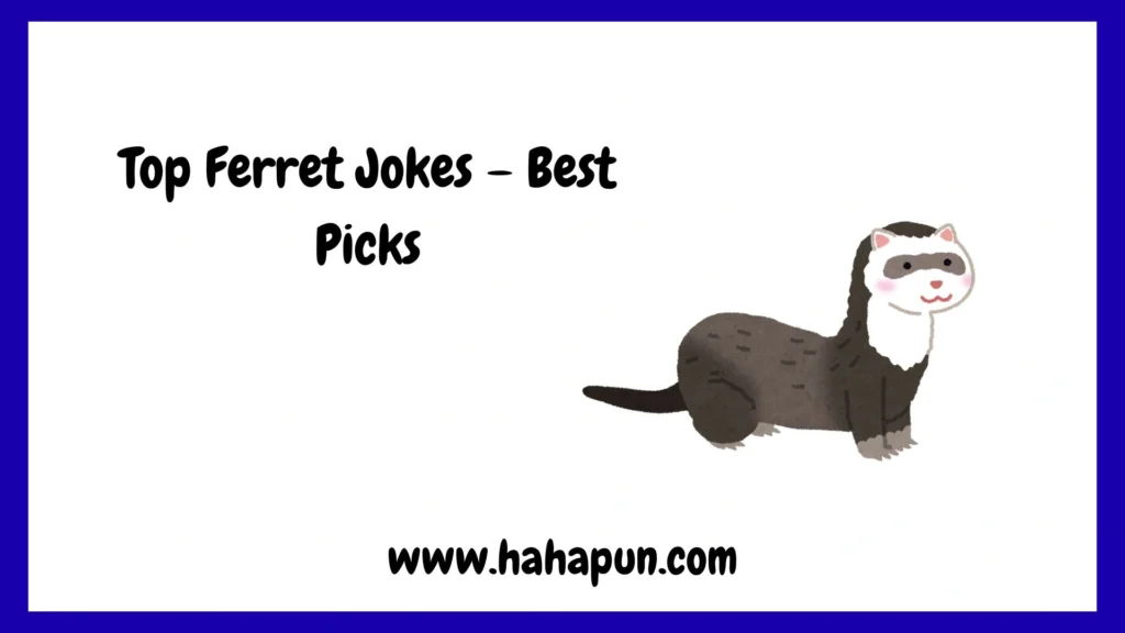 Top Ferret Jokes – Best Picks