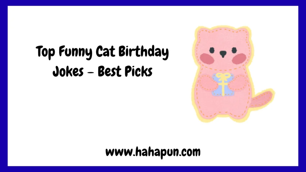Top Funny Cat Birthday Jokes – Best Picks