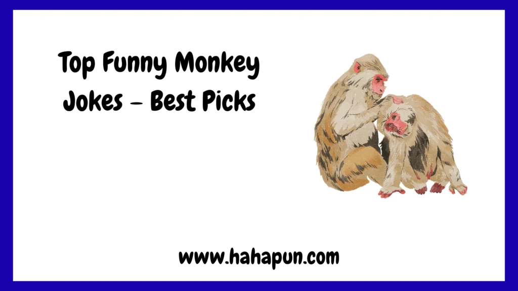 Top Funny Monkey Jokes – Best Picks