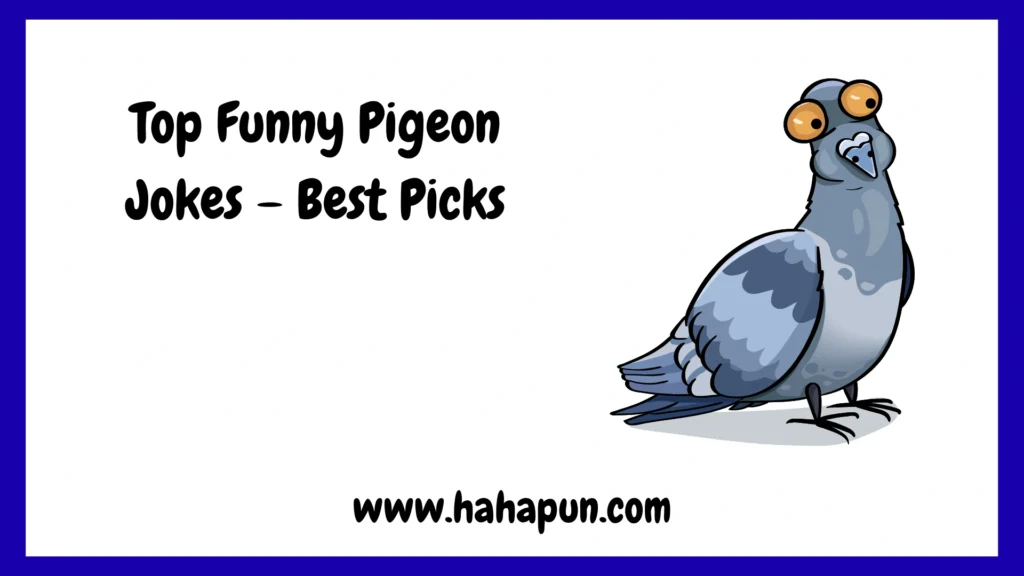 Top Funny Pigeon Jokes – Best Picks