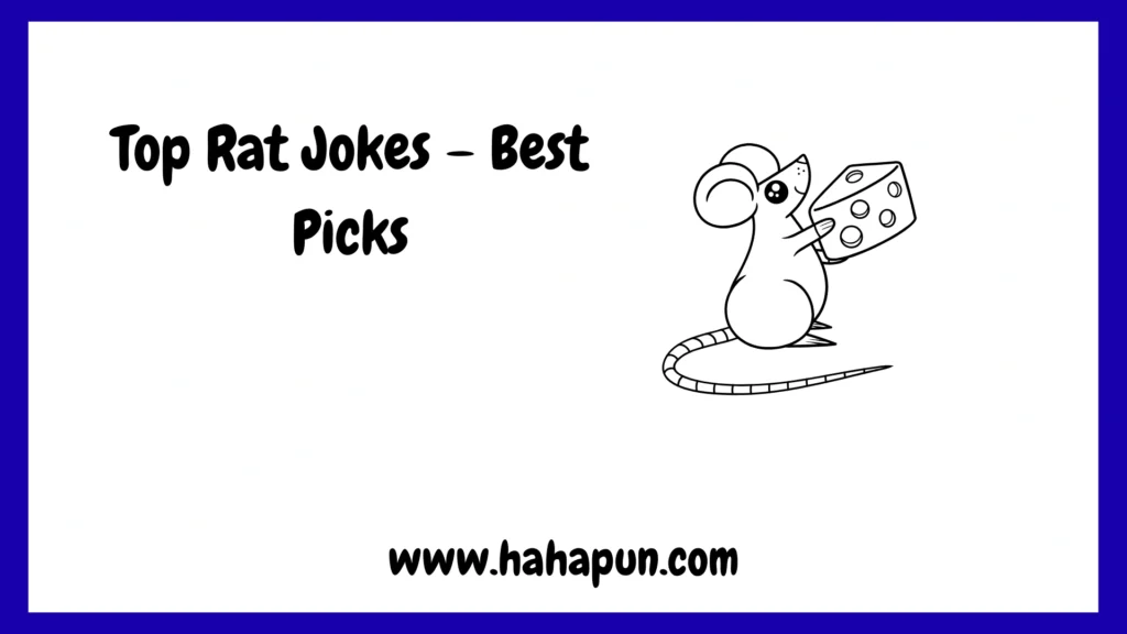 Top Rat Jokes – Best Picks