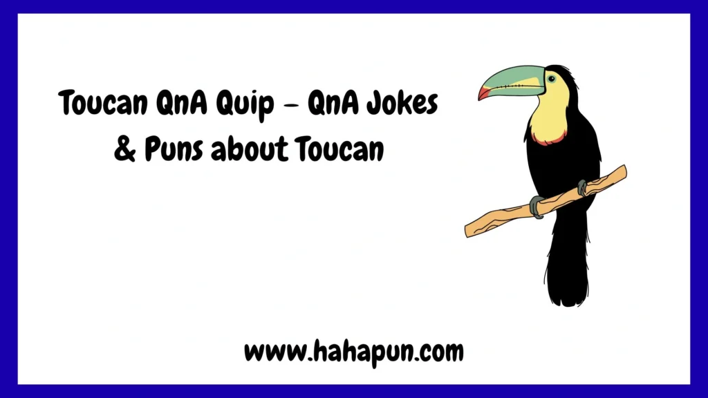 Toucan QnA Quip – QnA Jokes & Puns about Toucan