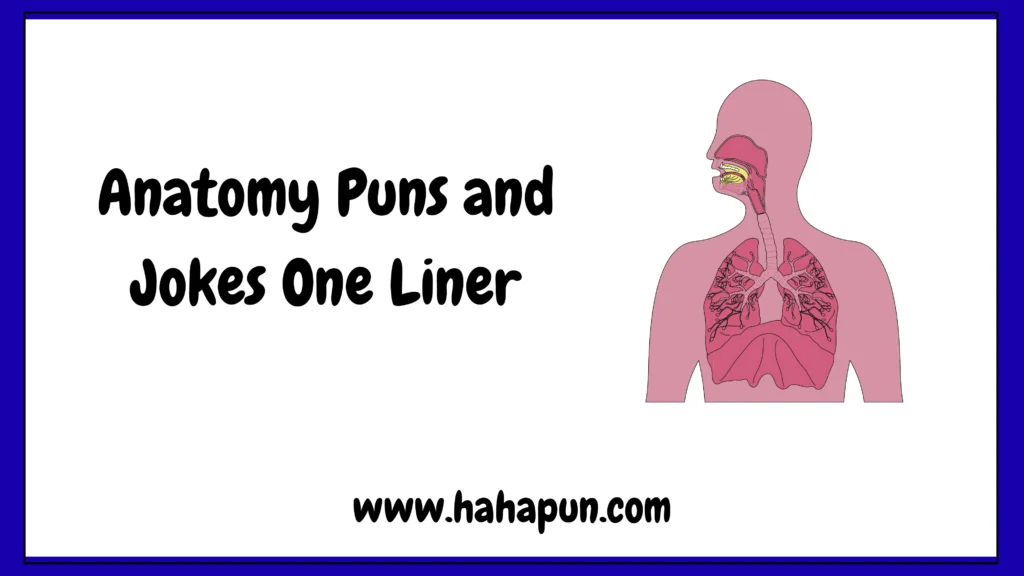 Anatomy Puns and Jokes One Liner