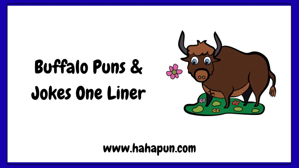Buffalo Puns & Jokes One Liner