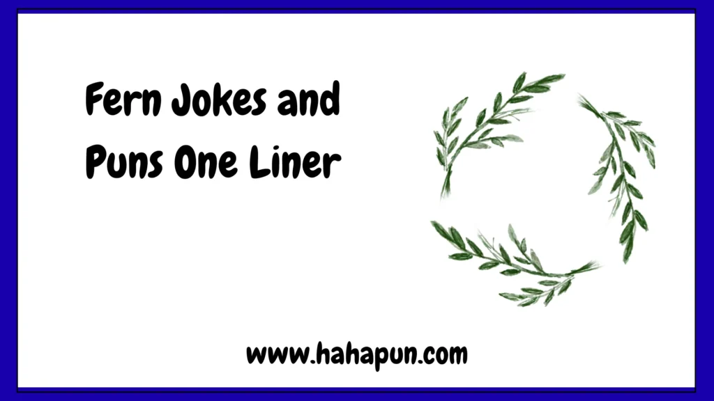 Fern Jokes and Puns One Liner