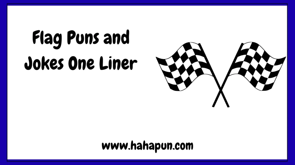 Flag Puns and Jokes One Liner