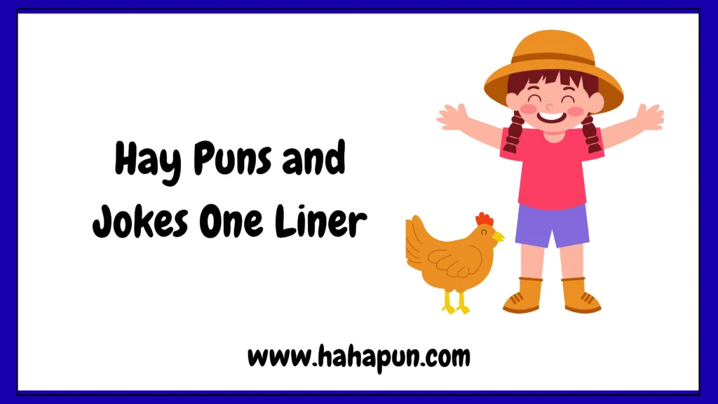 Hay Puns and Jokes One Liner