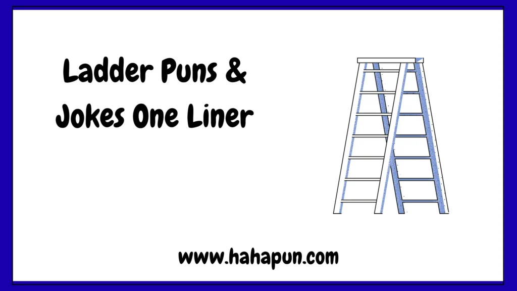 Ladder Puns & Jokes One Liner
