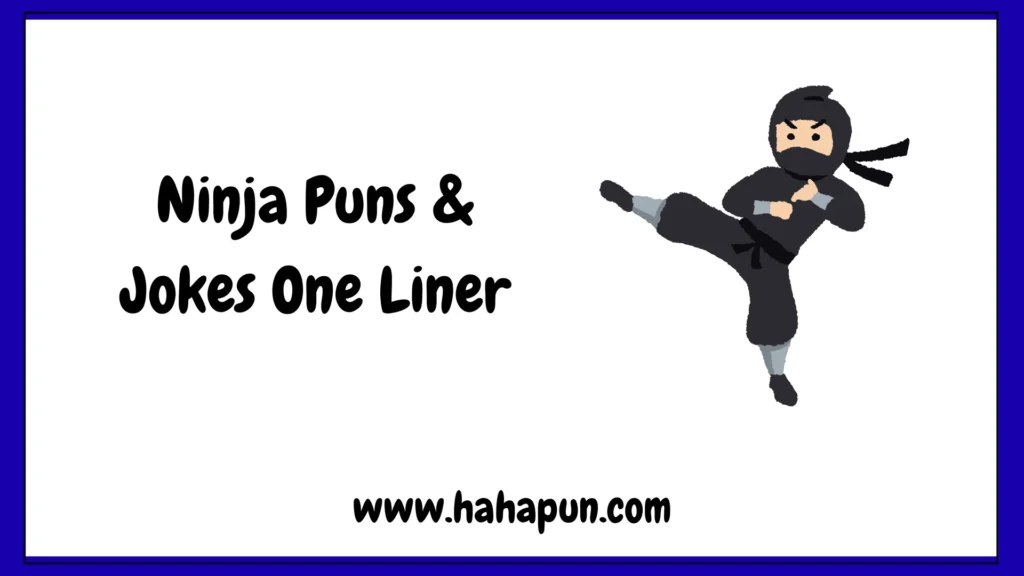 Ninja Puns & Jokes One Liner
