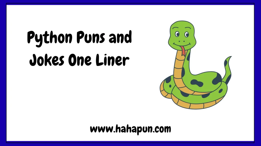 Python Puns and Jokes One Liner