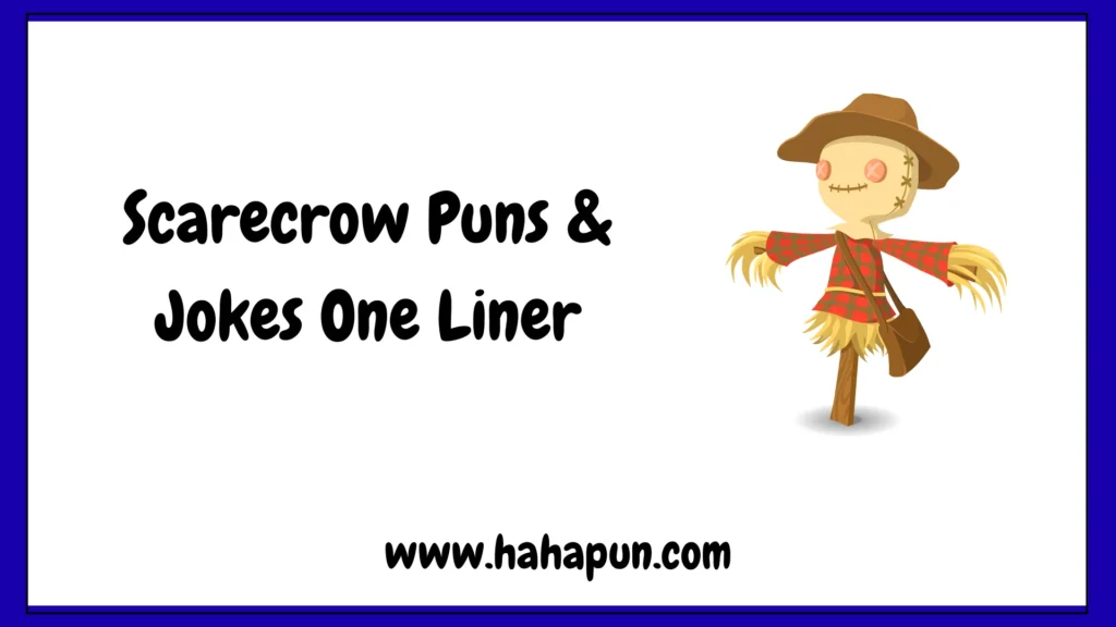 Scarecrow Puns & Jokes One Liner