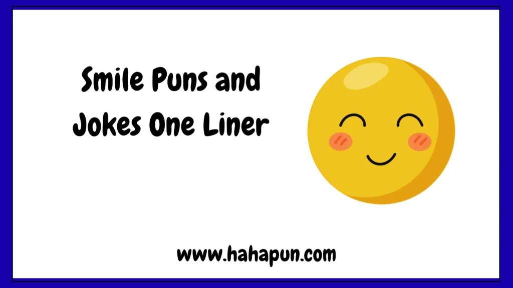 Smile Puns and Jokes One Liner