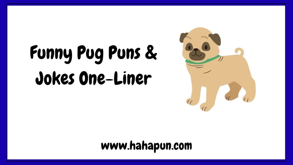 Funny Pug Puns & Jokes One-Liner