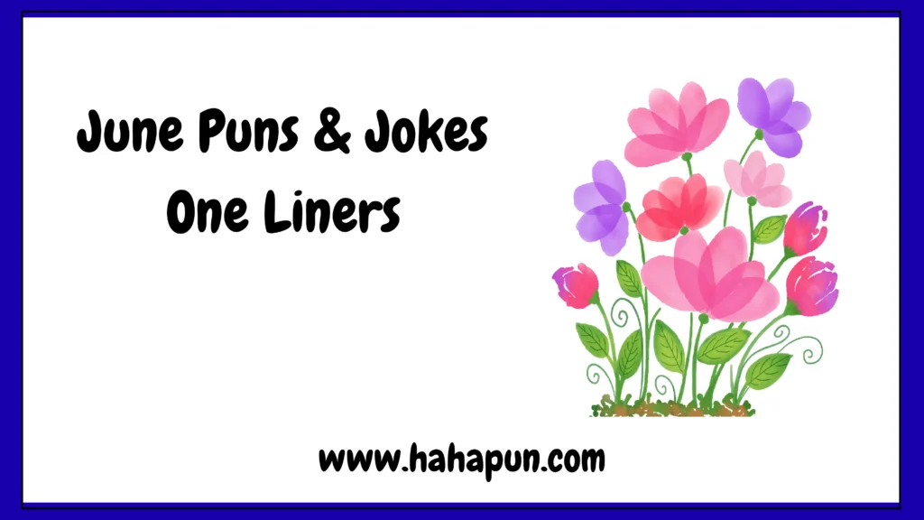 June Puns & Jokes One Liners