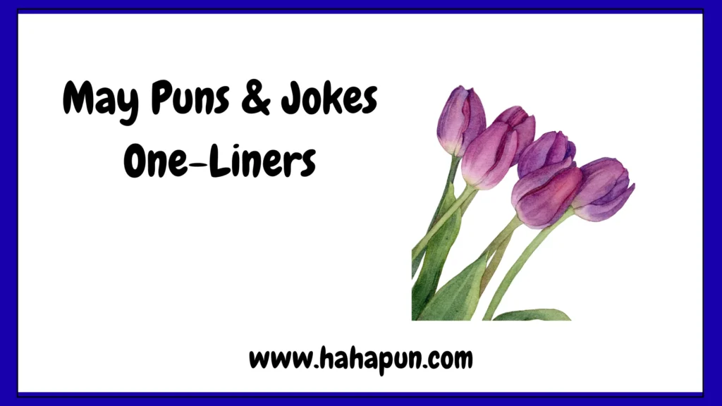 May Puns & Jokes One-Liners