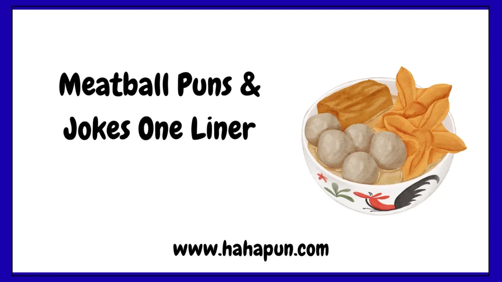 Meatball Puns & Jokes One Liner