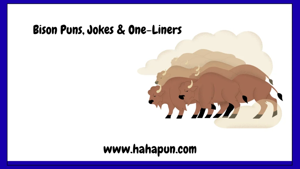 Bison Puns, Jokes & One-Liners