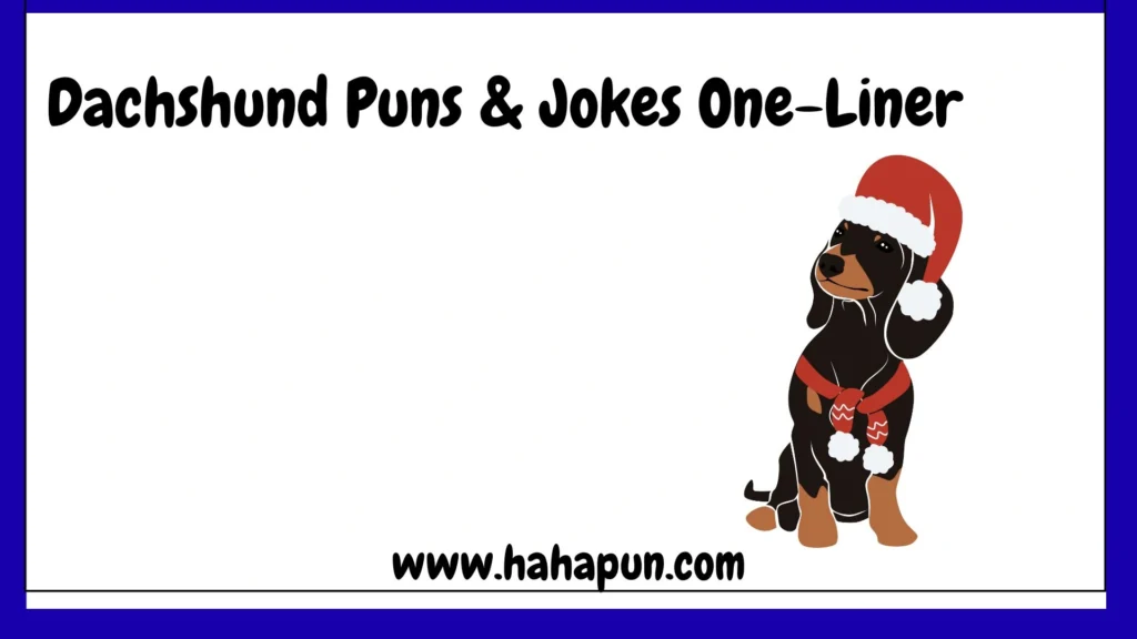 Dachshund Puns & Jokes One-Liner