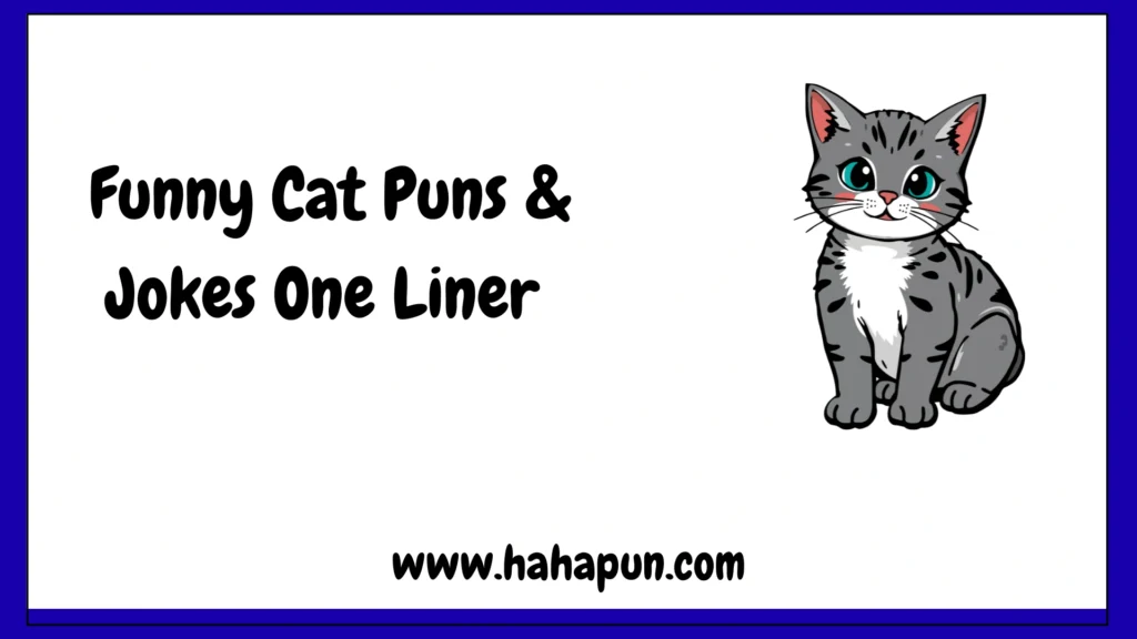 Funny Cat Puns & Jokes One Liner
