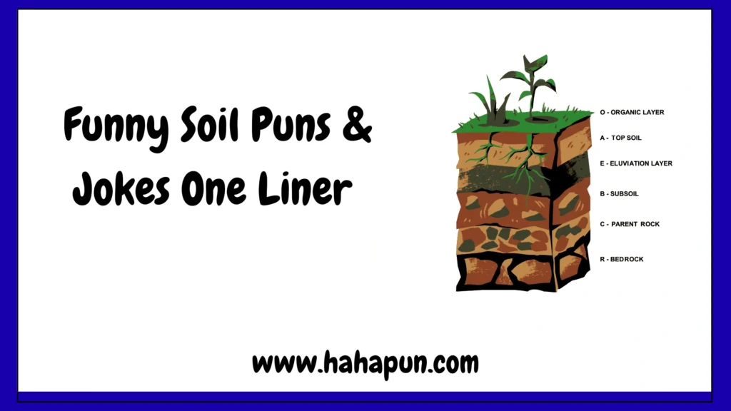 Funny Soil Puns & Jokes One Liner
