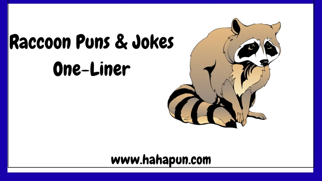 Raccoon Puns & Jokes One-Liner