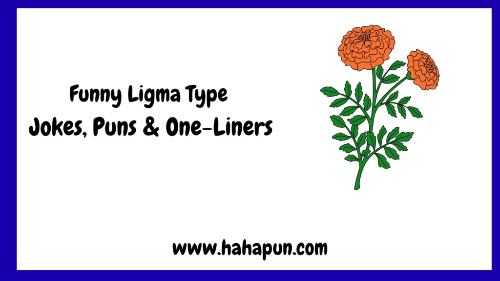 Funny Ligma Type Jokes, Puns & One-Liners