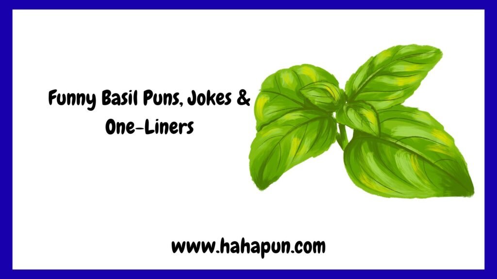 Funny Basil Puns, Jokes & One-Liners