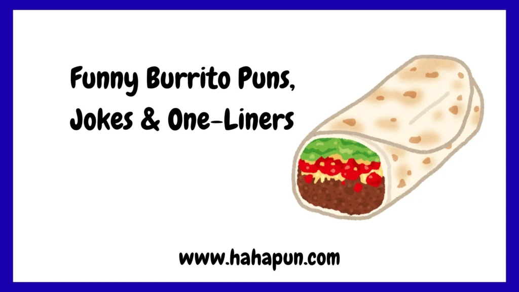 Funny Burrito Puns, Jokes & One-Liners