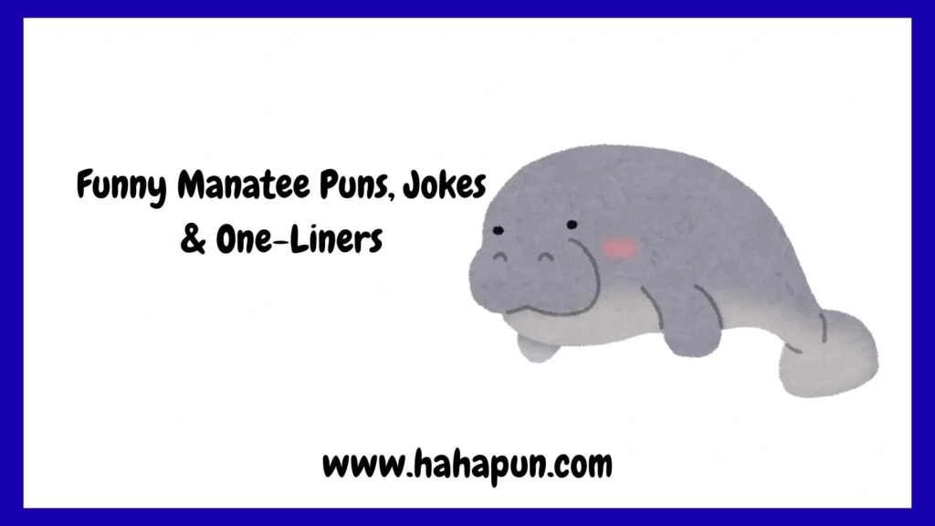 Funny Manatee Puns, Jokes & One-Liners