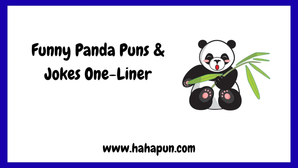 Funny Panda Puns & Jokes One-Liner