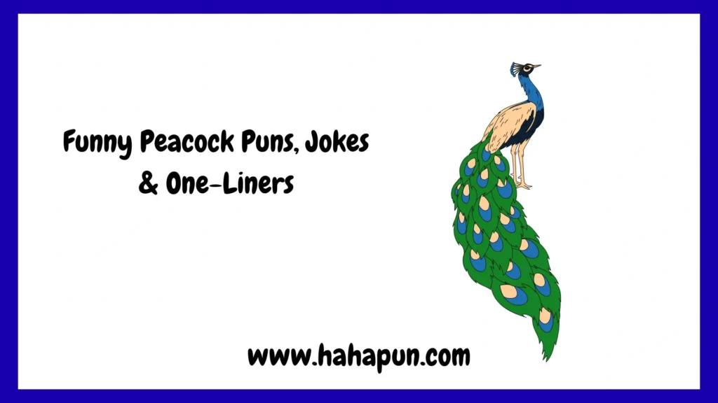 Funny Peacock Puns, Jokes & One-Liners
