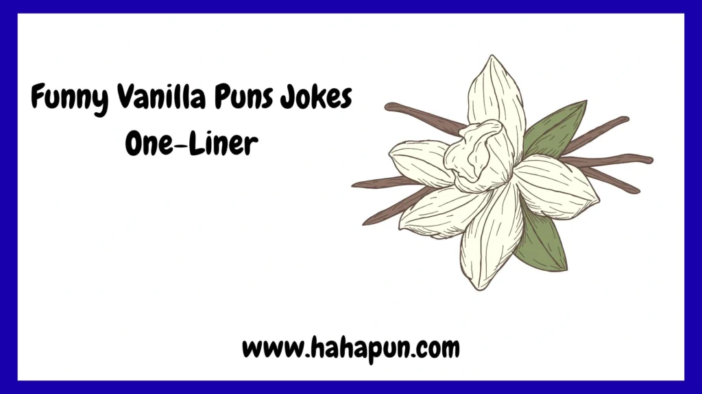 Funny Vanilla Puns Jokes One-Liner