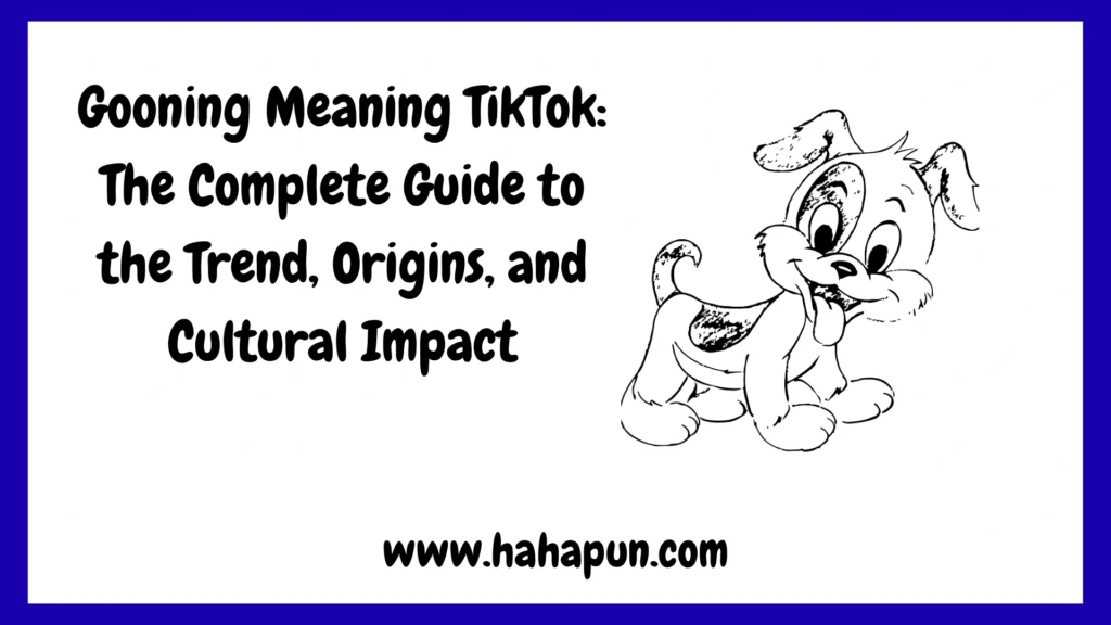 LMR Meaning (Hiatus Meaning): The Complete Guide You Need to Know